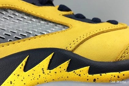 MICHIGAN RETRO 604 CQ9541-704 - AllSeason JORDAN 5 (2019) 0710